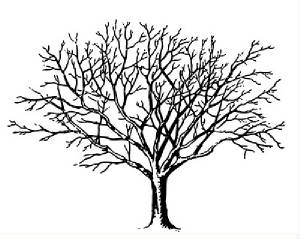 req-tree-spooky-graphicsfairy004c.jpg